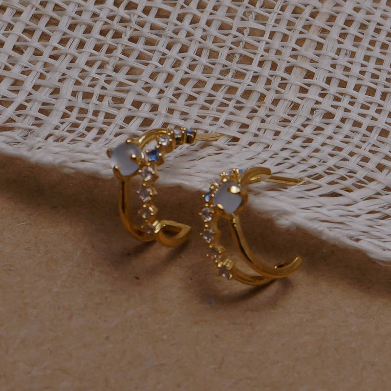 Crystal Double Hoop Earrings