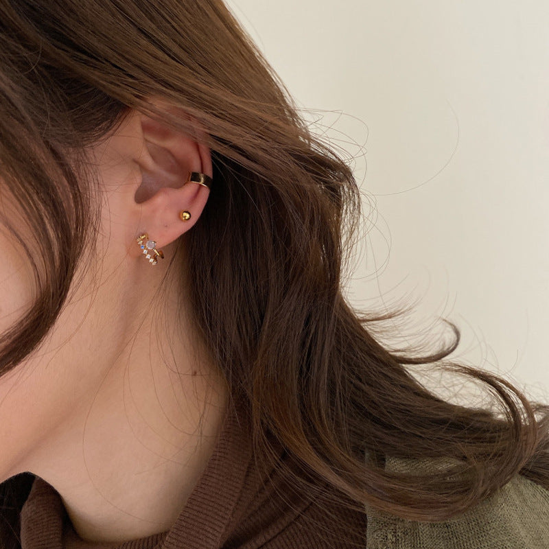 Crystal Double Hoop Earrings