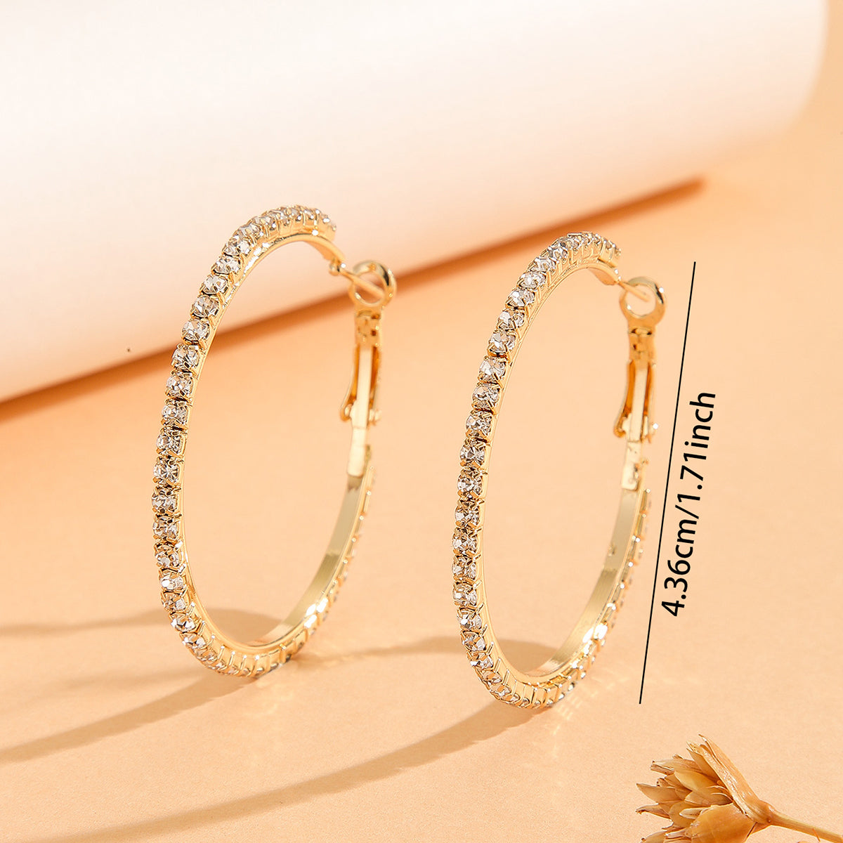 Princess Style Earrings